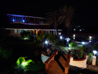 Garden at night